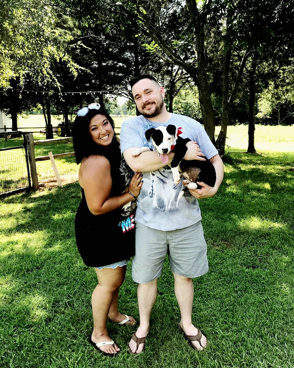 the_Samiet's tweet photo. Happy Independence week! #americanpuppy #FourthofJuly #WonderWoman #meetdiana #pittbullpuppy https://t.co/NRHDsRpxVT