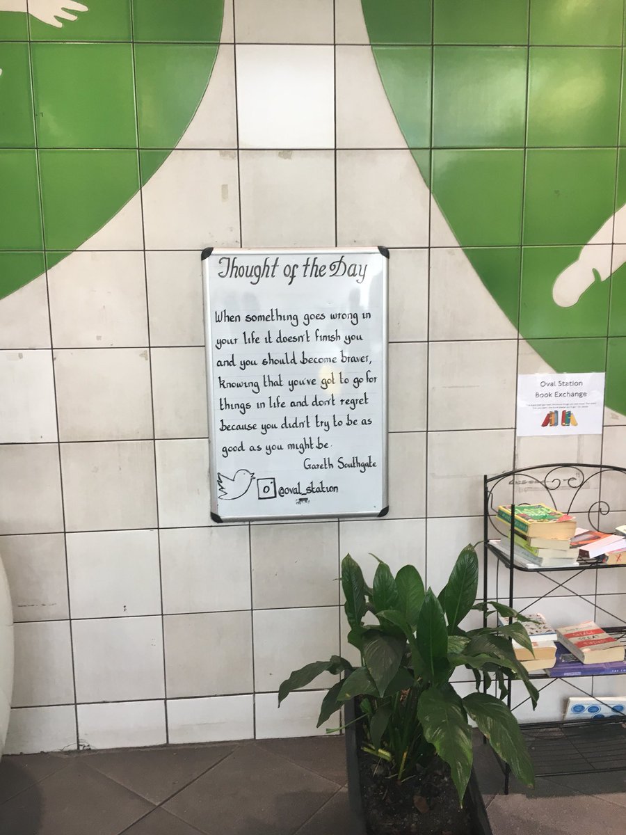 Amanda Ludlow tweet media