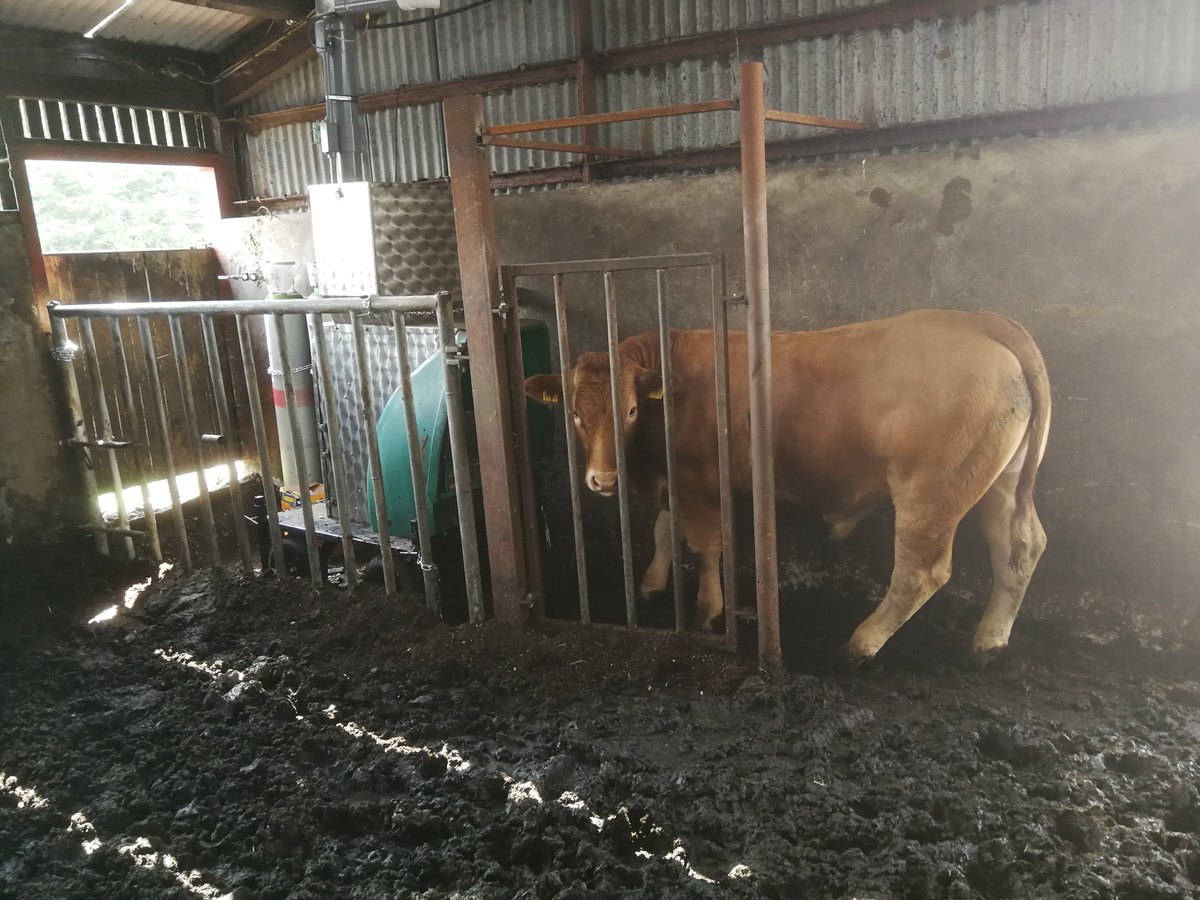 PaulSmid94's tweet photo. Filters changed ✔️ weekly gas calibrations for the sensors ✔️ let the official measurement period begin #methane @teagasc @RumenPredict @HerdPlus @ucdagfood https://t.co/fgtmKQb4IM