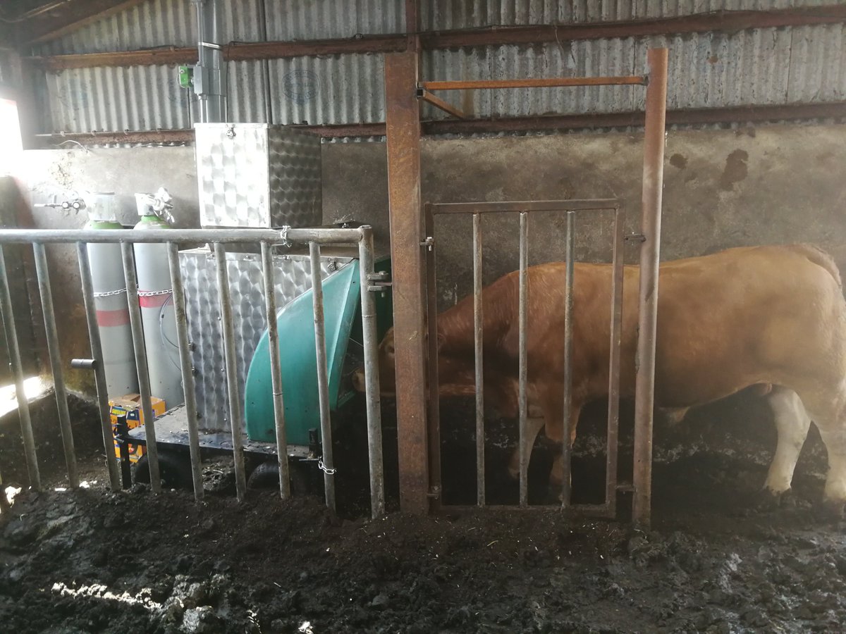 PaulSmid94's tweet photo. Filters changed ✔️ weekly gas calibrations for the sensors ✔️ let the official measurement period begin #methane @teagasc @RumenPredict @HerdPlus @ucdagfood https://t.co/fgtmKQb4IM