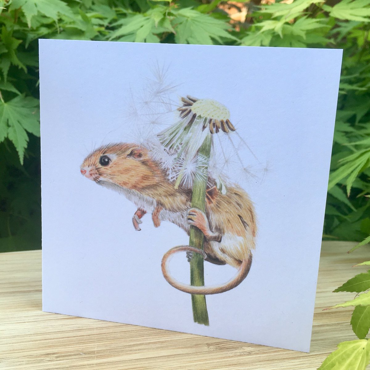 CazHallArt's tweet image. Thank you @DCSPrint they are gorgeous #wildlife #greetingcards from #originalart by CazHallArt inspired by #photography from Russ Bridges, Terence Porter &amp;amp; Paul Fine. Thanks to @Elidanza for the recommendation too 😃👍