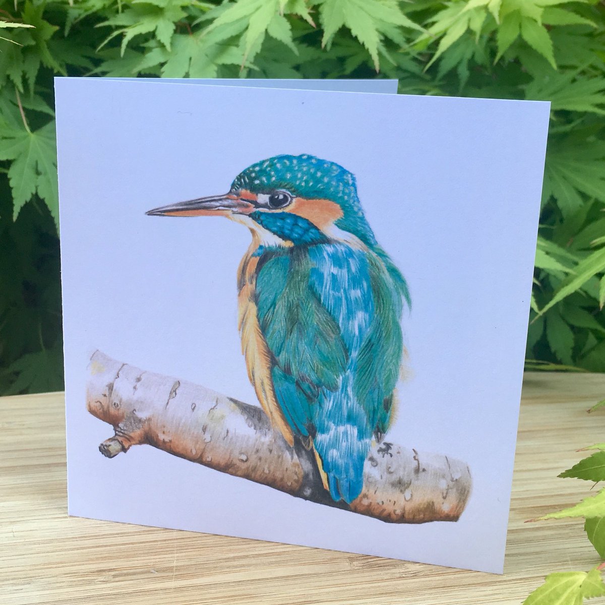 CazHallArt's tweet image. Thank you @DCSPrint they are gorgeous #wildlife #greetingcards from #originalart by CazHallArt inspired by #photography from Russ Bridges, Terence Porter &amp;amp; Paul Fine. Thanks to @Elidanza for the recommendation too 😃👍