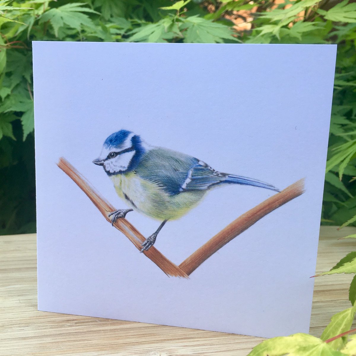 CazHallArt's tweet image. Thank you @DCSPrint they are gorgeous #wildlife #greetingcards from #originalart by CazHallArt inspired by #photography from Russ Bridges, Terence Porter &amp;amp; Paul Fine. Thanks to @Elidanza for the recommendation too 😃👍