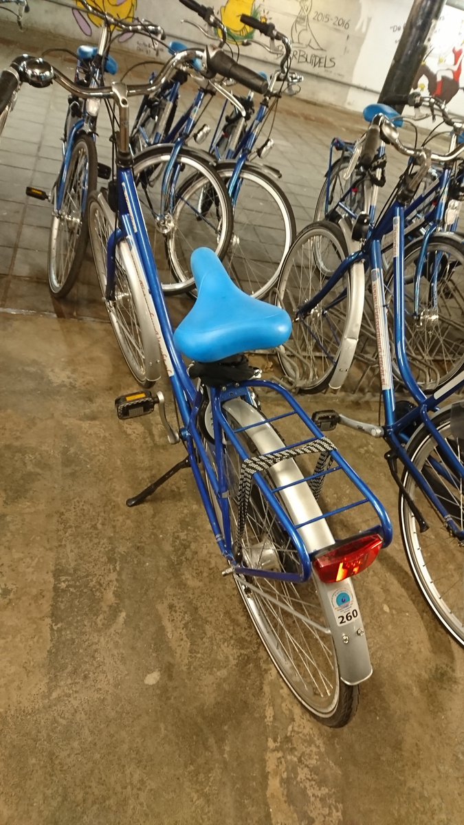 Susan Rhind tweet media