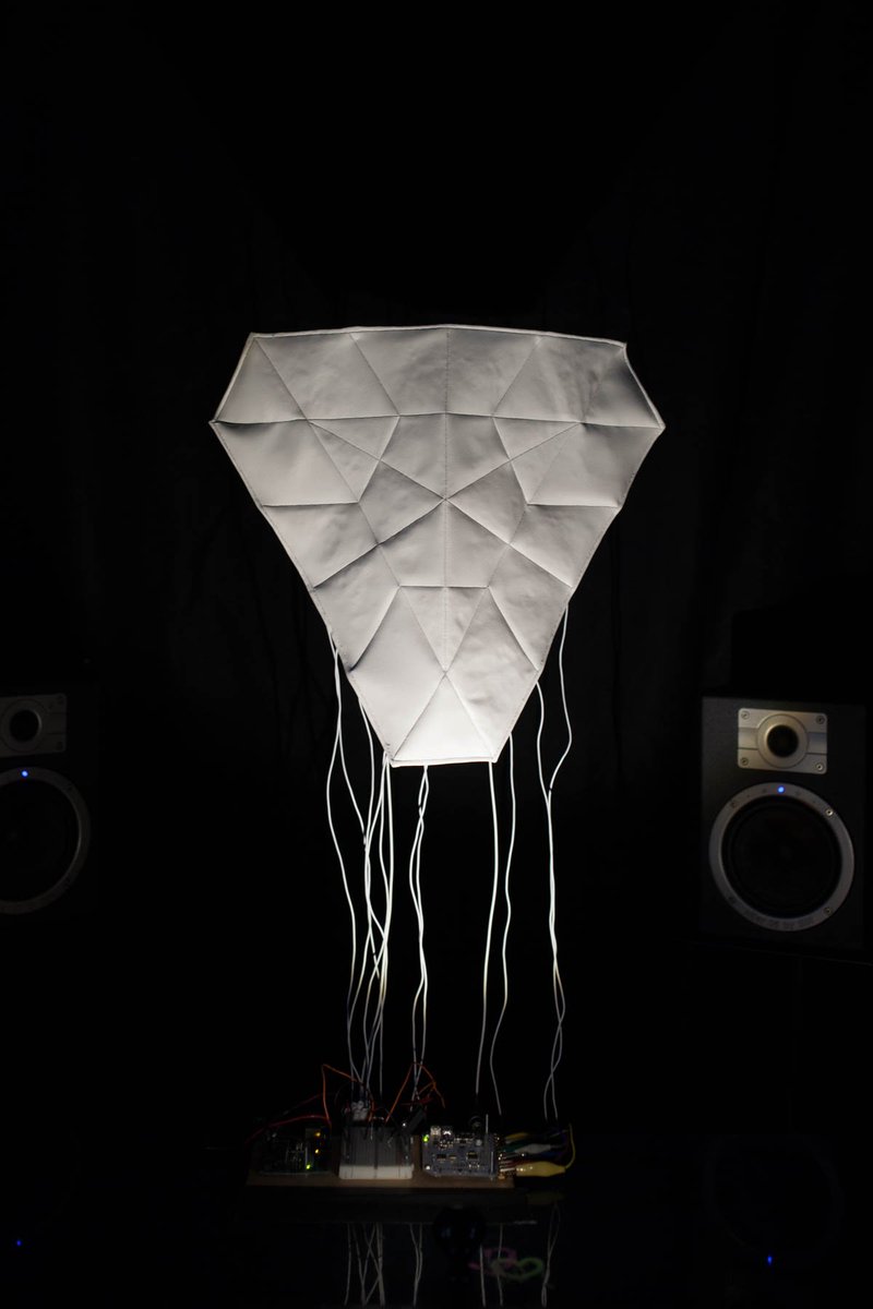 Jessica Broscheit tweet media