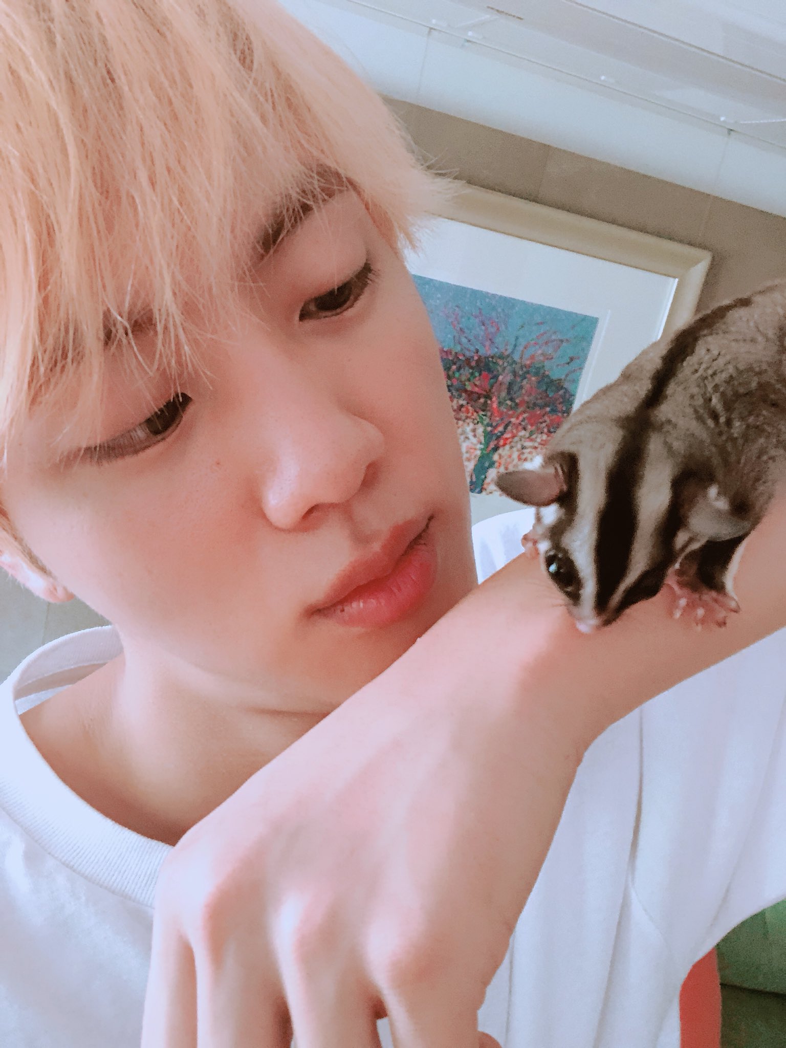 Twitter/BTS_twt