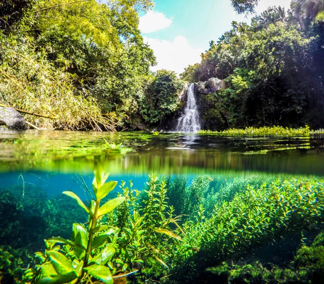 Mauritius Island on X: Eau Bleu #waterfalls is breathtaking