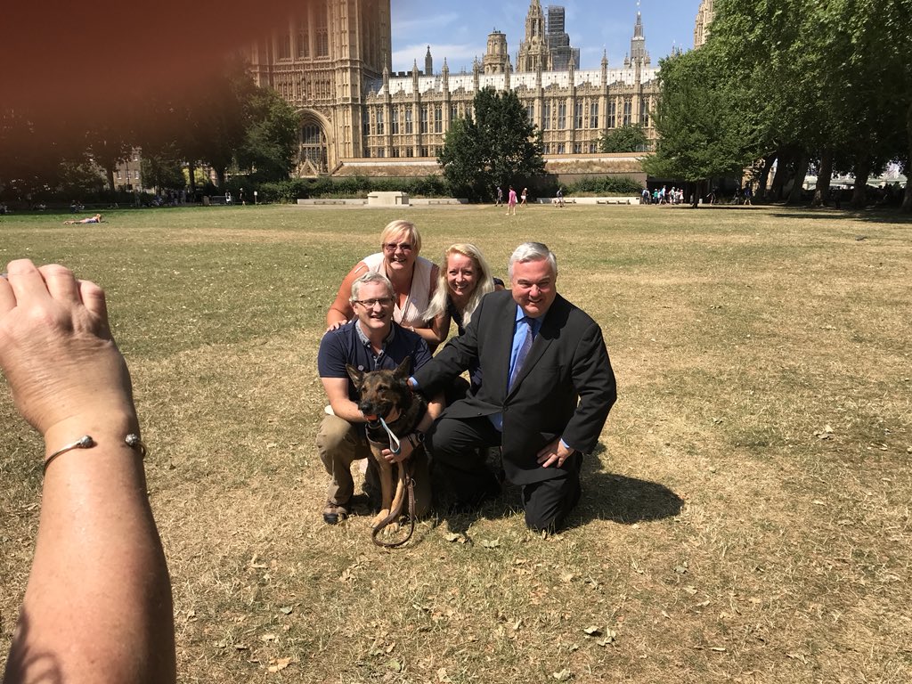 K9Finn's tweet image. We did it! 
It’s time for #Finnslaw