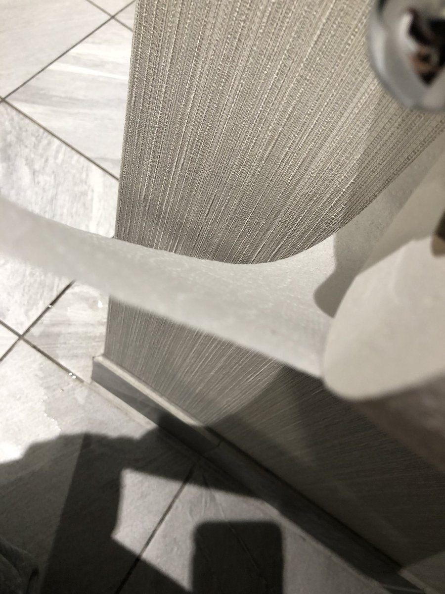 APiercea45's tweet image. For as much as we pay a night in this hotel we should at least get some 2 Ply toilet paper! #ruffandtuff @EmbassySuites