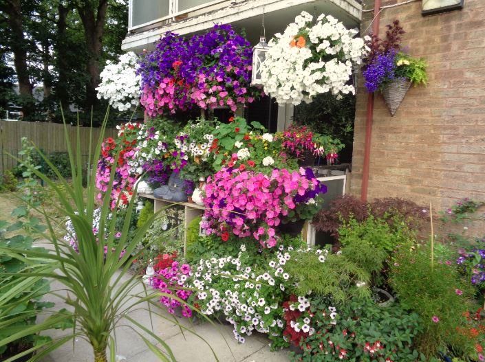 Enjoying the glorious weather? Doing a spot of gardening in the sun? This week kicks off #BrumInBloom2018, a chance to show off all the love and attention you give to your lovely gardens and local communities! Find out more info and how to enter here: socsi.in/bxoVg