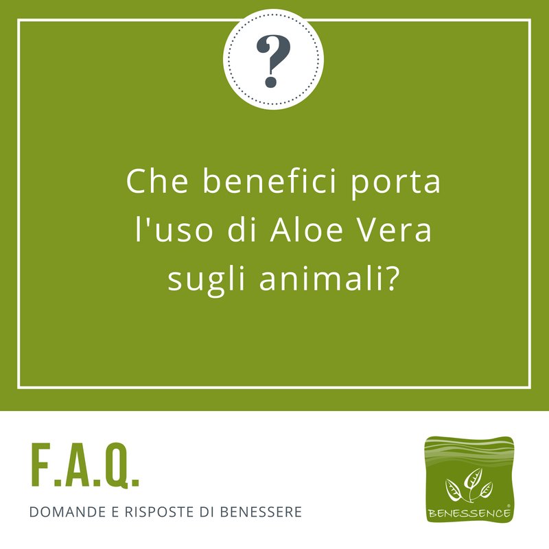 BenessenceAloe's tweet photo. 🐶🐱Tanti i benefici dell'#AloeVera sugli #animali:
💚Rinforza il #sistemaimmunitario
💚è #cicatrizzante e #antibatterico;
💚è un'antinfiammatorio #naturale;
💚Ha capacità emollienti;
💚Difende il #cane e #gatto da parassiti e insetti;
@PEOPLEPets  #PETS ->https://t.co/BHpBAY7Pju https://t.co/VxaCboJjDL