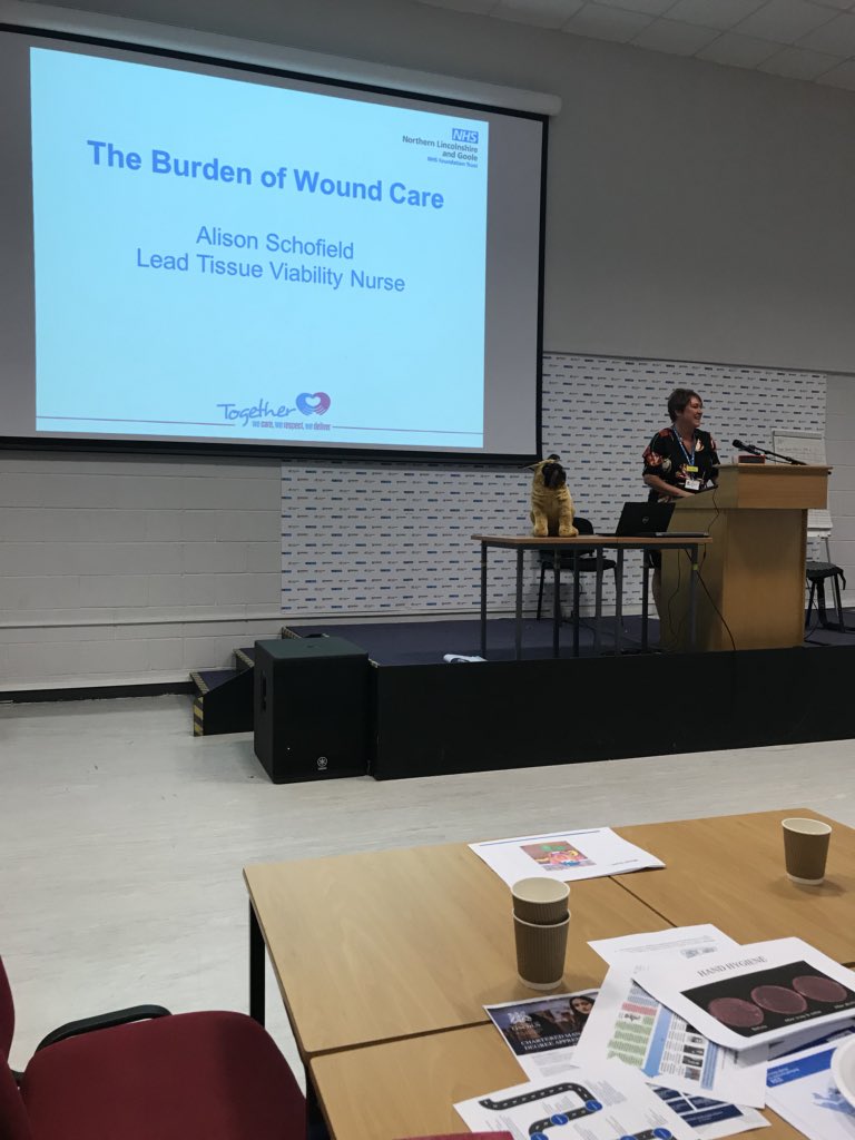 rachelgreenbeck's tweet photo. The final talk of the day at #BPD2018 @NHSNLaG is @alischofield12 discussing the burden of wound care @TaraFilby https://t.co/98nRSRp1CP