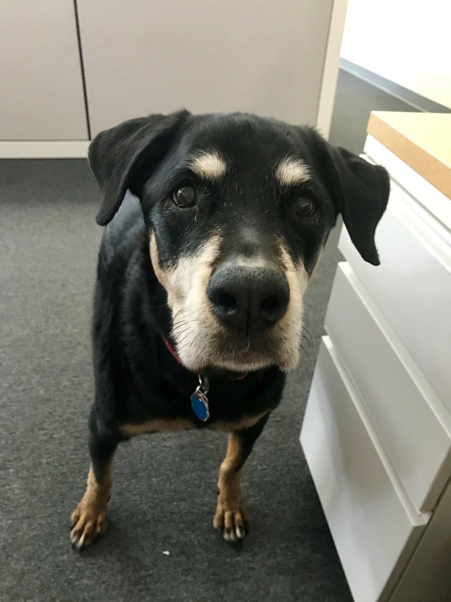 Manncorp tweet media