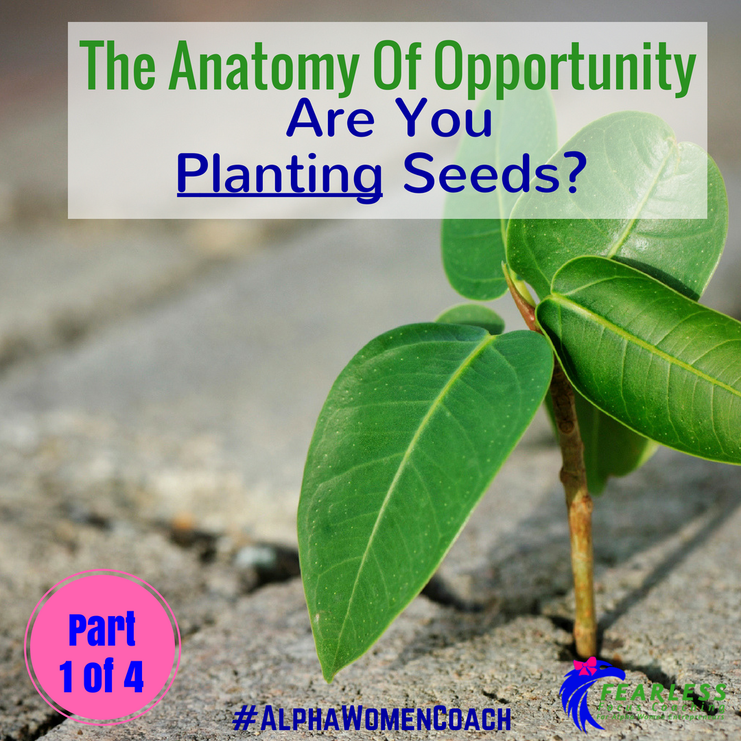 AlphaWomenCoach's tweet photo. Friday's Motivating Question: Can You Start From Just a Seed? Anatomy of Opportunity Part 1. On in 30 Minutes :-) FB- Tanya Stewart Esq https://t.co/GREF7oGatg #AnatomyOfOpportunity #4PartSeries #AlphaWomenCoach #AlphaLifeCoach #AlphaCoach https://t.co/0YVeFqnuMZ