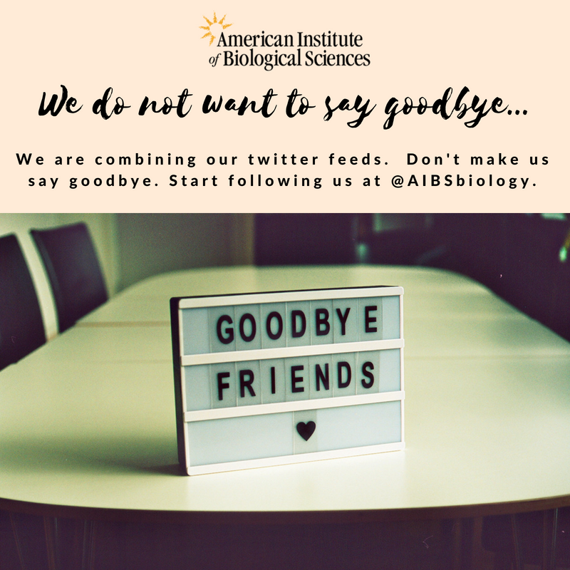 AIBS_SPARS tweet media