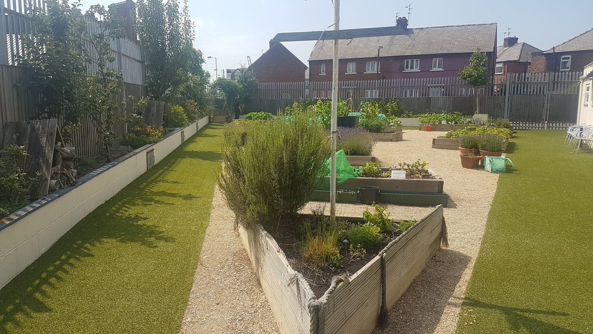 the_brunny's tweet photo. Garden is full bloom @the_brunny with fruit and veg #growfresh #locallygrown https://t.co/0SkYKVQEaJ