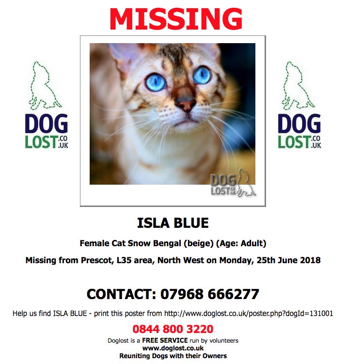 CatsMissing's tweet photo. 🆘STILL MISSING AFTER BEING MAULED BY A DOG‼Monday 25/6/18 Youatt Ave area #Prescot #Liverpool #Merseyside L35
#NeedsFindingFast
#FindIslaBlue F/M SNOW #BENGAL #LostCat SPAYED & MICROCHIPPED #ScanMe #MissingCatsUK
FB▶https://t.co/MxYIsSazle
@DoglostUK▶https://t.co/pm4GeRYQ1N https://t.co/ERxAHcFRN5