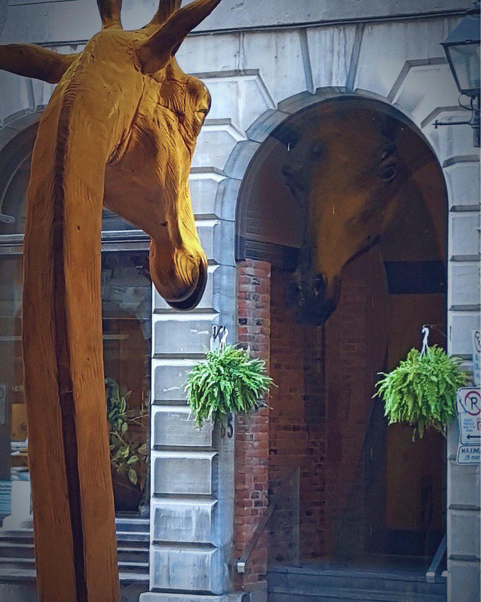 GotMontreal's tweet photo. "Mirror mirror on the wall..." https://t.co/QtInagRxjf