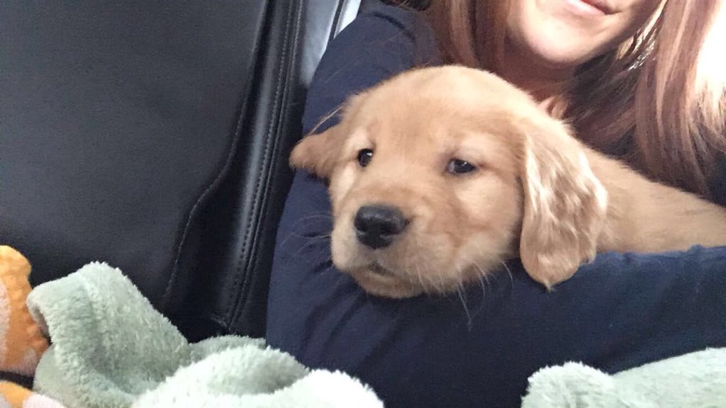 annabanaski's tweet photo. look how big my baby addison has gotten😭💕💕💕 https://t.co/Ojmzer7Xq6