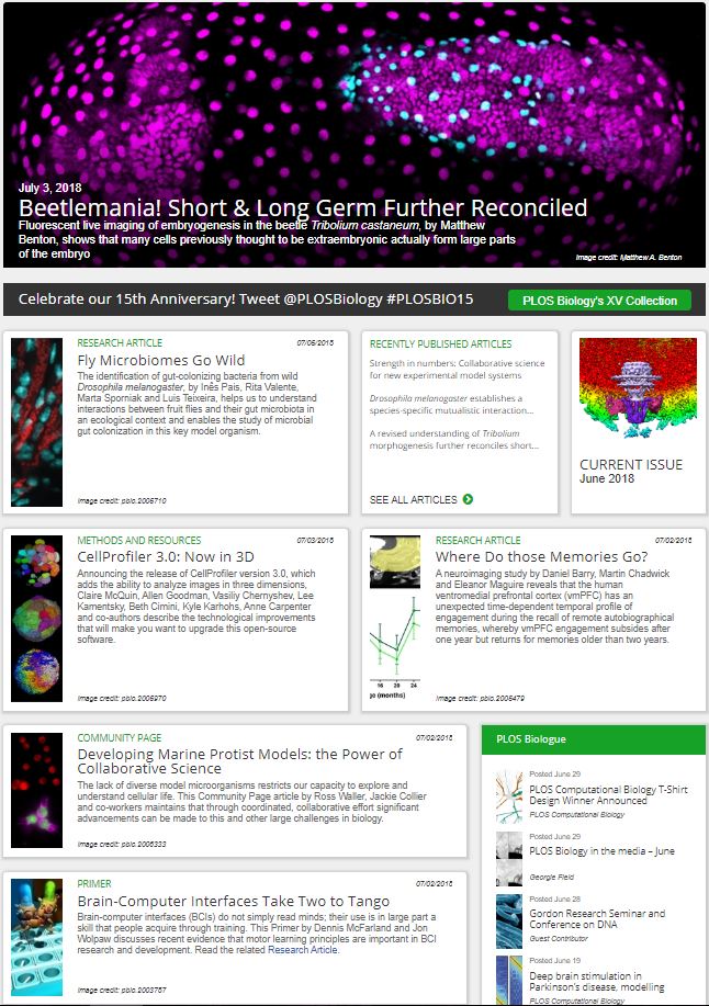 This week #PLOSBiology's homepage includes research on #embryogenesis in the #RedFlourBeetle, #BrainComputerInterfaces, marine #protists & #bacteria from wild #Drosophila. Don't miss out - click the link to read more: plos.io/1PO2pFl
