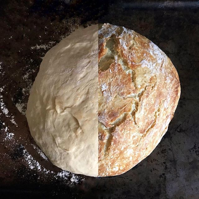 kokocooks's tweet photo. Still trying to perfect no-knead bread. Getting closer. #breakfast #beforeandafter #homemadebread #allthecarbs https://t.co/CvCJ88X4Ye https://t.co/V8t2kAi5SQ