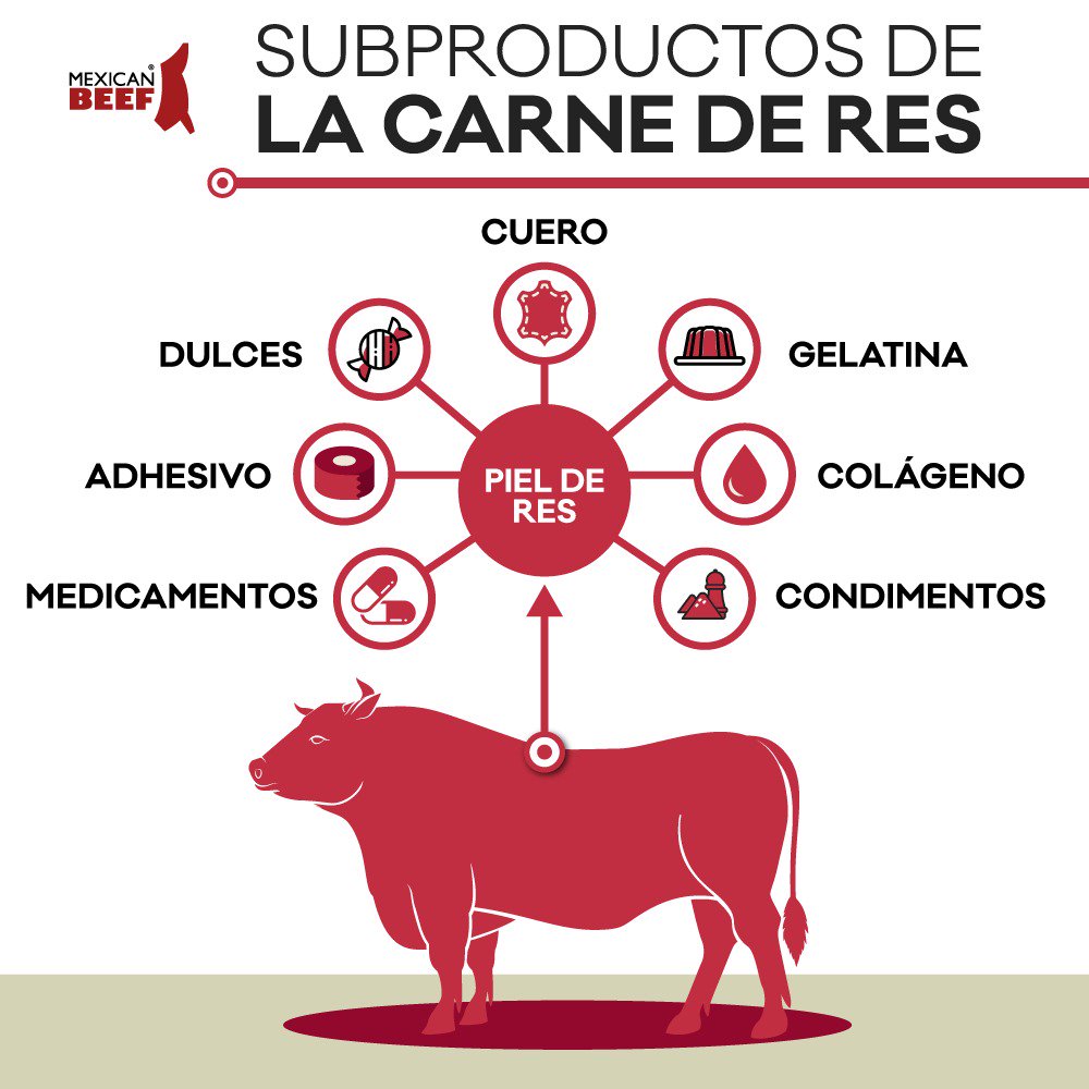 mexicanbeef's tweet image. Revisa algunos subproductos obtenidos de la res. Conoce más sobre la carne de res en mexicanbeef.org