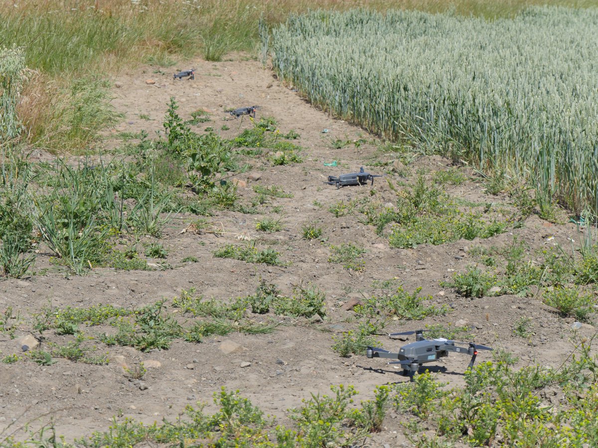 heliguydotcom's tweet photo. We've been out in the field with the team from Accelerated Dynamics to check out their drone swarm technology. 

Check out some of the pictures from the site.

#drone #droneswarm #dji #3dmapping #inspection https://t.co/VsAmOri8BH