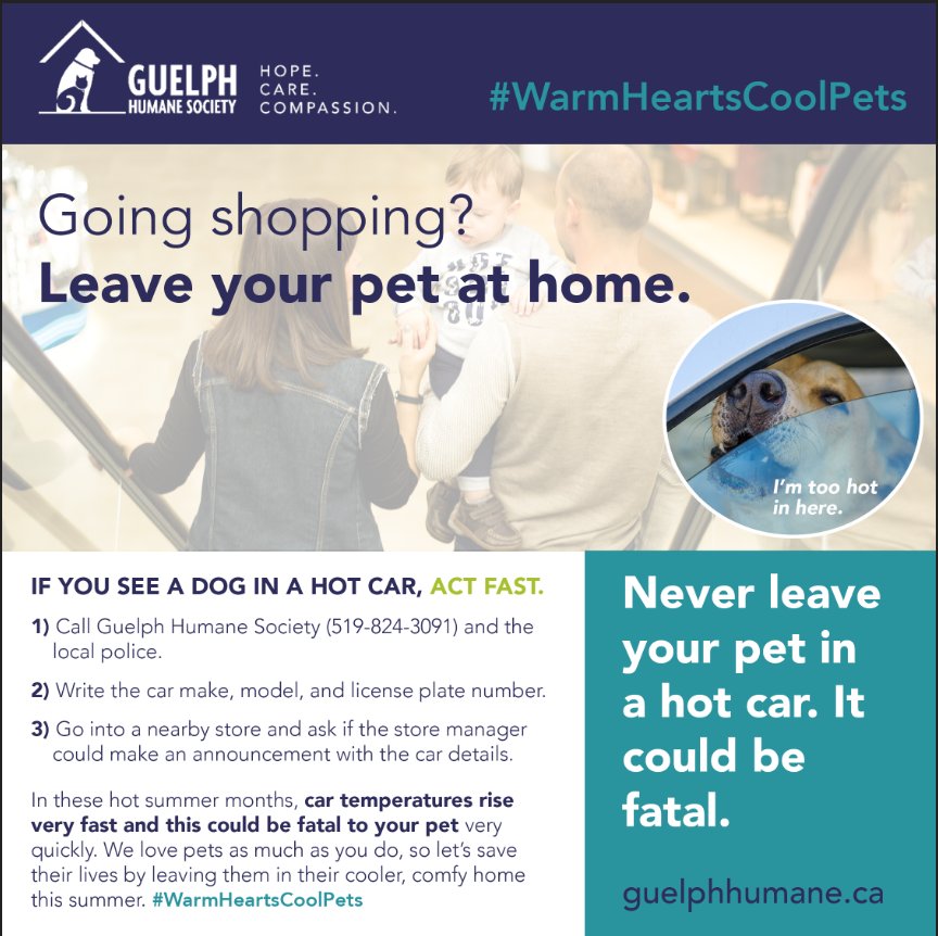 Guelph Humane Society tweet media