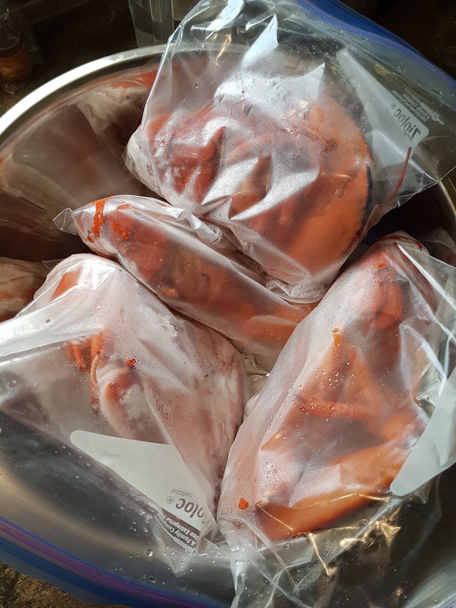 MikeB_HFX's tweet photo. You know you are in Cape Breton when neighbour randomly drops off Lobsters! Might be able to save one for @lisamac1889 ...might. #firstfeed https://t.co/5UpH0ieBH0
