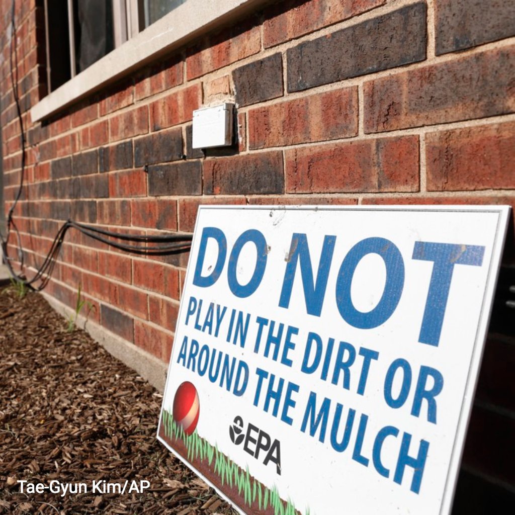 Researchers have found ways to neutralize lead in soil, such as by placing fish bones in it. The phosphate-rich bones combine with the lead to form pyromorphite, a crystalline mineral that the human digestive system can’t absorb. #FactFriday 

citylab.com/environment/20…

<a href="/CityLab/">Bloomberg CityLab</a>