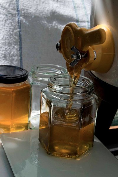 CPFoodMarket's tweet photo. Tomorrow at the market: Super local #honey (within 4km), #ClaraFlora flowers, #Ricochez lamb wraps, @return2shasha #vegan lunch. Click for the full run down. - https://t.co/mu53iy6e7W #britishflowers https://t.co/aUyne1WNKc
