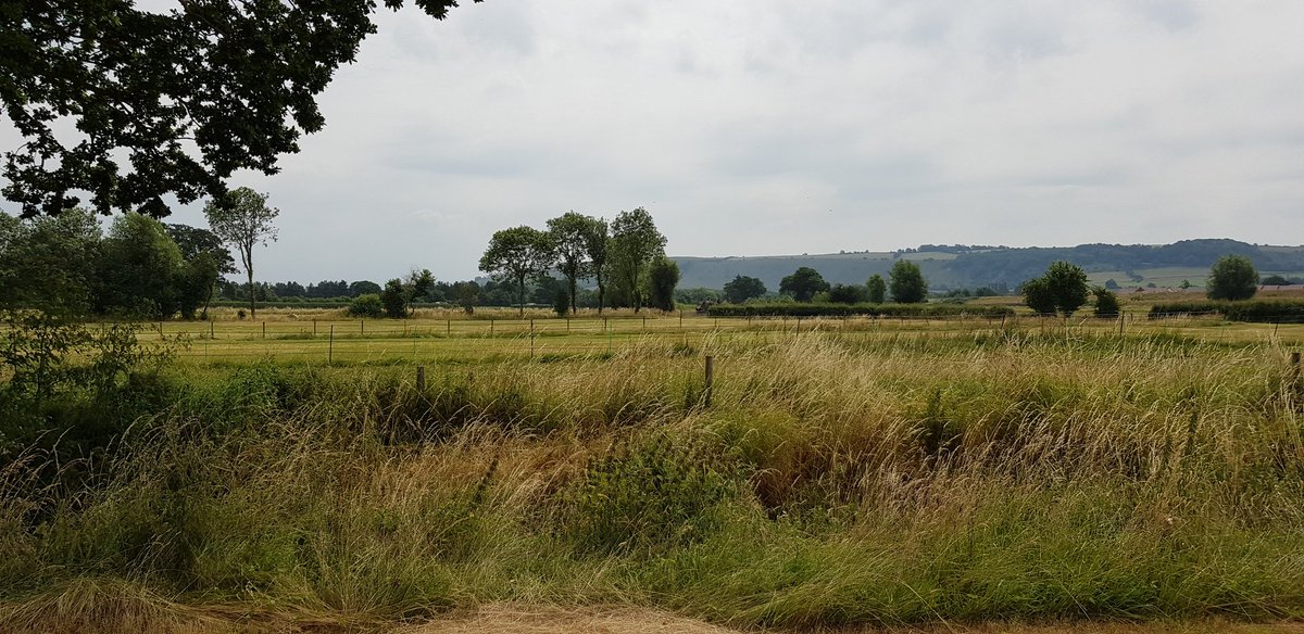 I get very cross when I hear people say 'farmers have ruined our landscape' or 'it's a barren wasteland.' Been soil sampling today and have been surrounded by songbirds, a heron, roe deer, buzzards, butterflies, insects of all kinds, rabbits and many more. #farmingwithnature