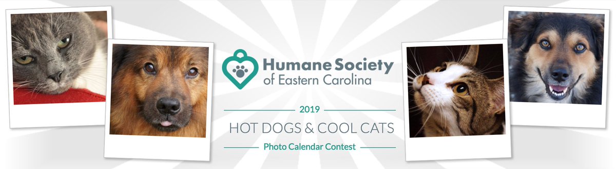 HSEC's tweet image. The contest is officially open!
Go to gogophotocontest.com/hsec to learn more and to enter your hot dogs and cool cats for the 2019 contest!
