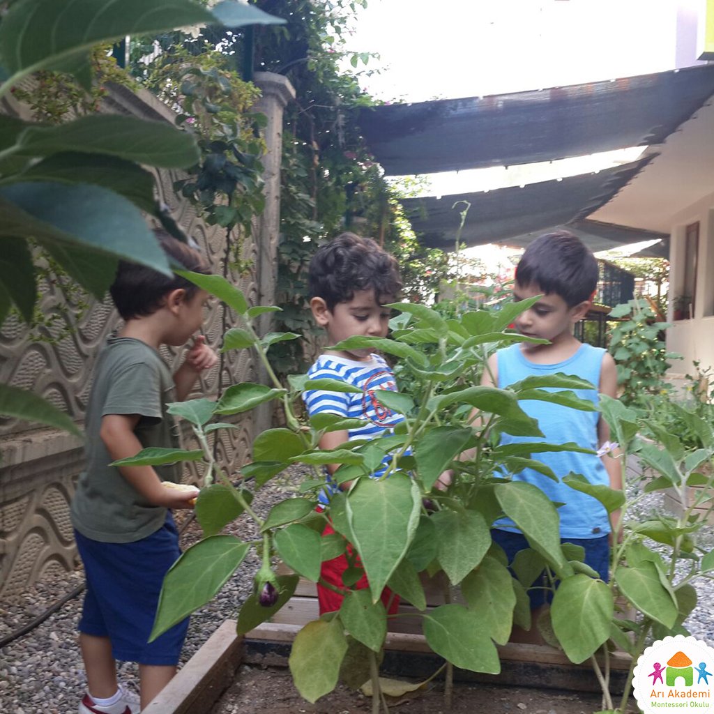 AriAkademi's tweet photo. Bahçe kahvaltımız ve etkinliğimizden kareler ☺️
➤ https://t.co/0E30EJpfSh
#montessori #montessoriokulu #kreş #yazokulu https://t.co/PYBBrJYbVF