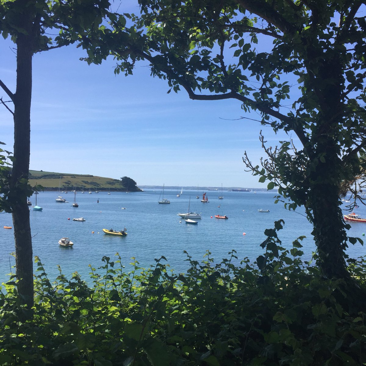 St Mawes looking great in the sunshine. The Watch House is open at 6pm. #endlesssummer #thewatchhouse #StMawes #Cornwall
