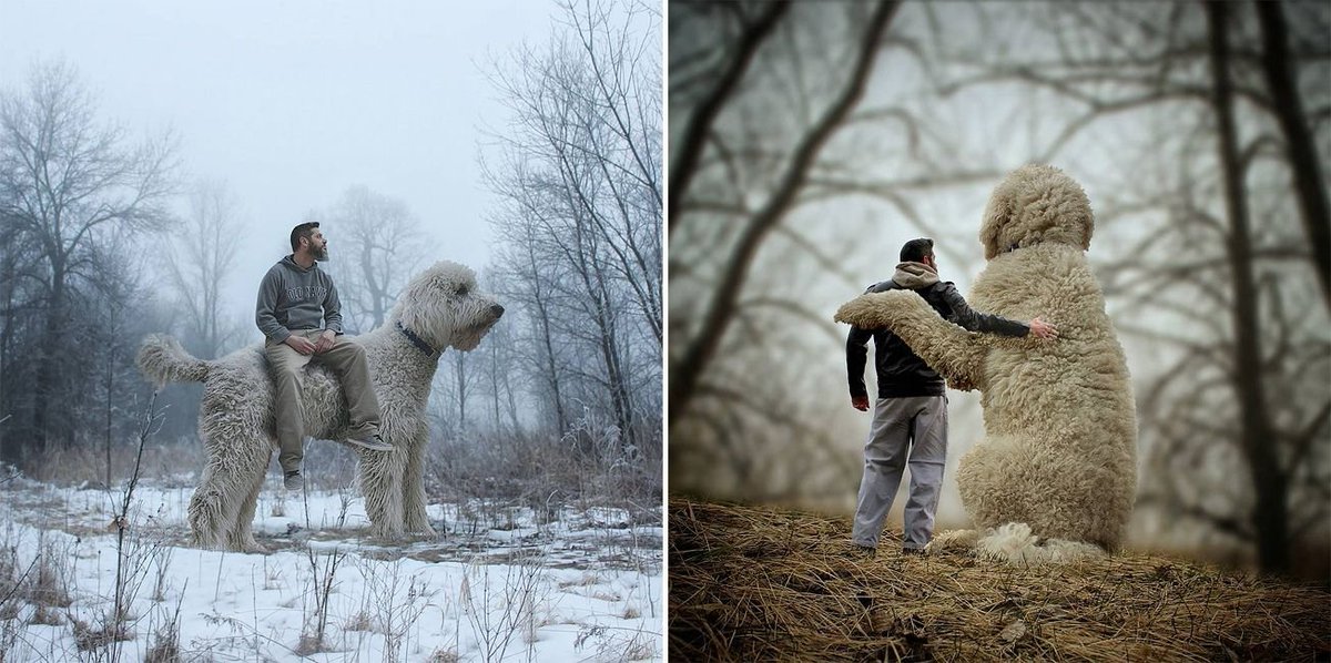 brainleafbeta's tweet photo. This Guy Photoshops His Dog Into A Giant In All His Pics And It’s Hilarious https://t.co/umVRpjmGun https://t.co/8pSja4i9sx