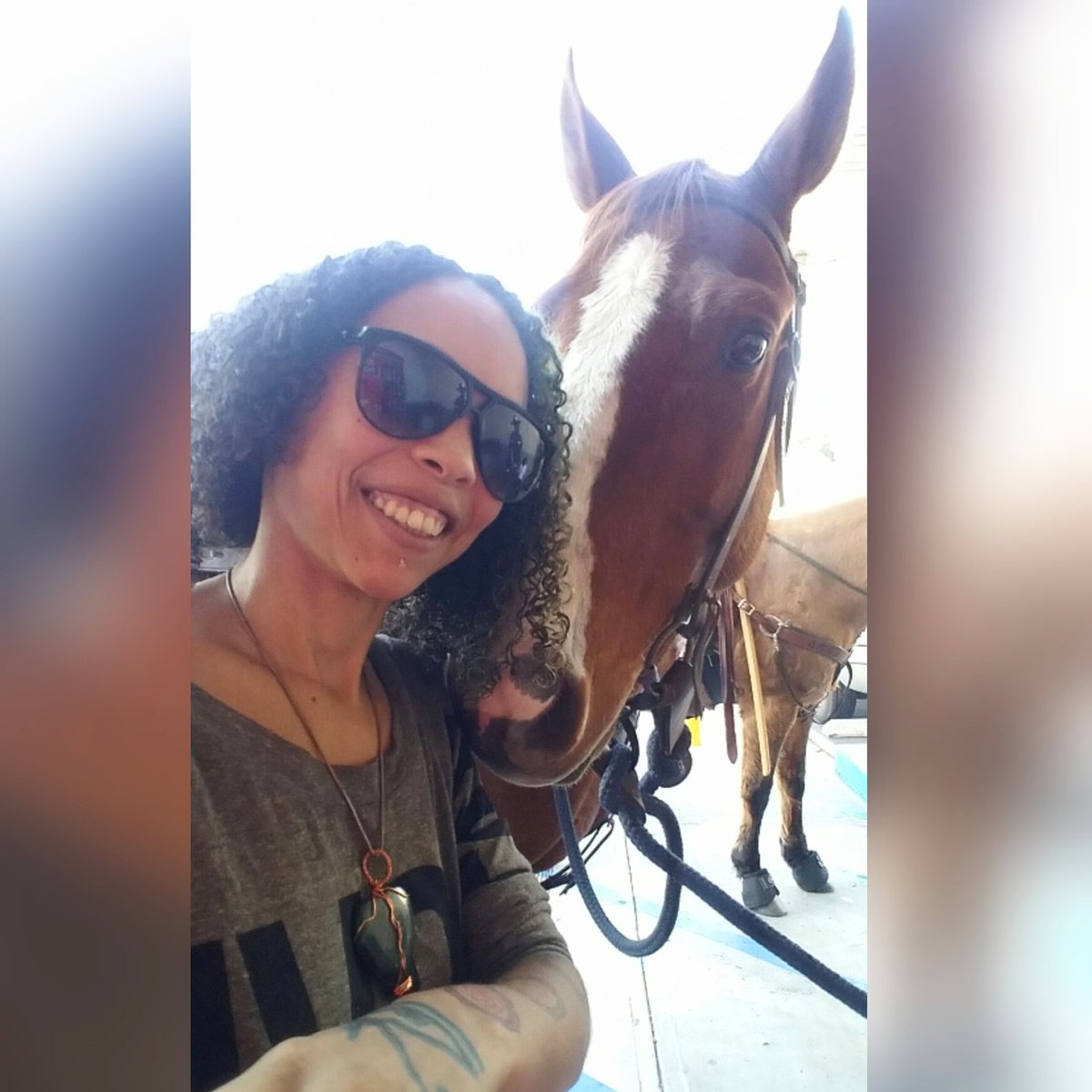 msmastafoxx's tweet image. #FlashBackFriday That One Time Me &amp;amp; My Horse Homie Took A Selfie Together @7eleven! He's Giving The Haters A SideEye! He Actually Comes From My Ayelien Planet But Came Down To Earth As A Horse In This Lifetime!😙🐴👽🖖 #GoodTimes #Horselien #Ayeliens
#CosmicFam #MsMastaFoxx #THC