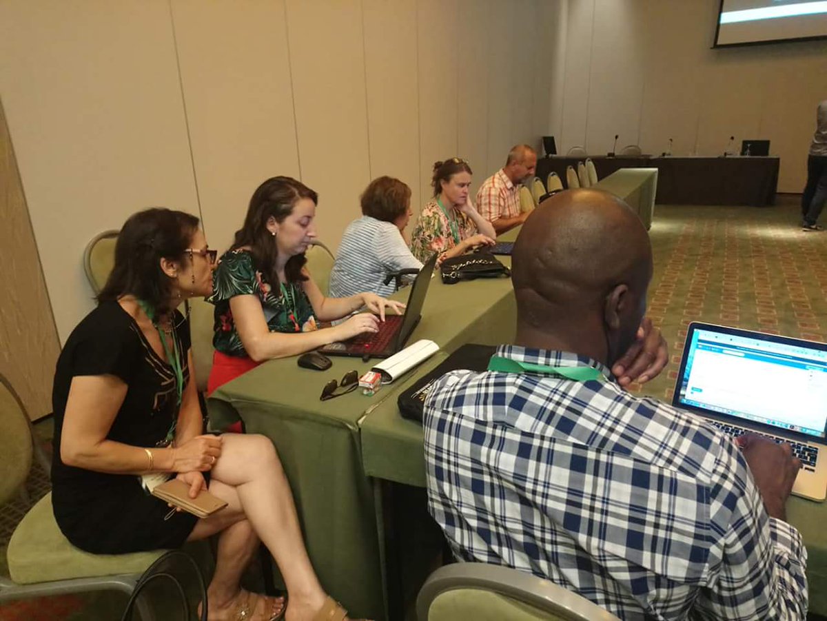 Fabiano Pallonetto tweet media