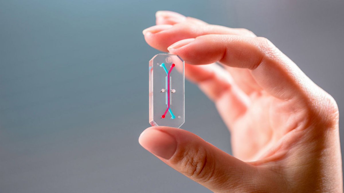 Singularity Hub tweet media