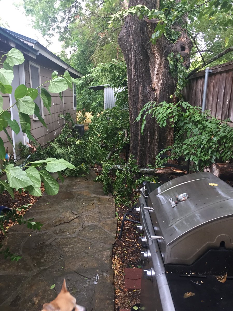 coysevier's tweet photo. Well, at least it rained.... https://t.co/xcRRErgViJ