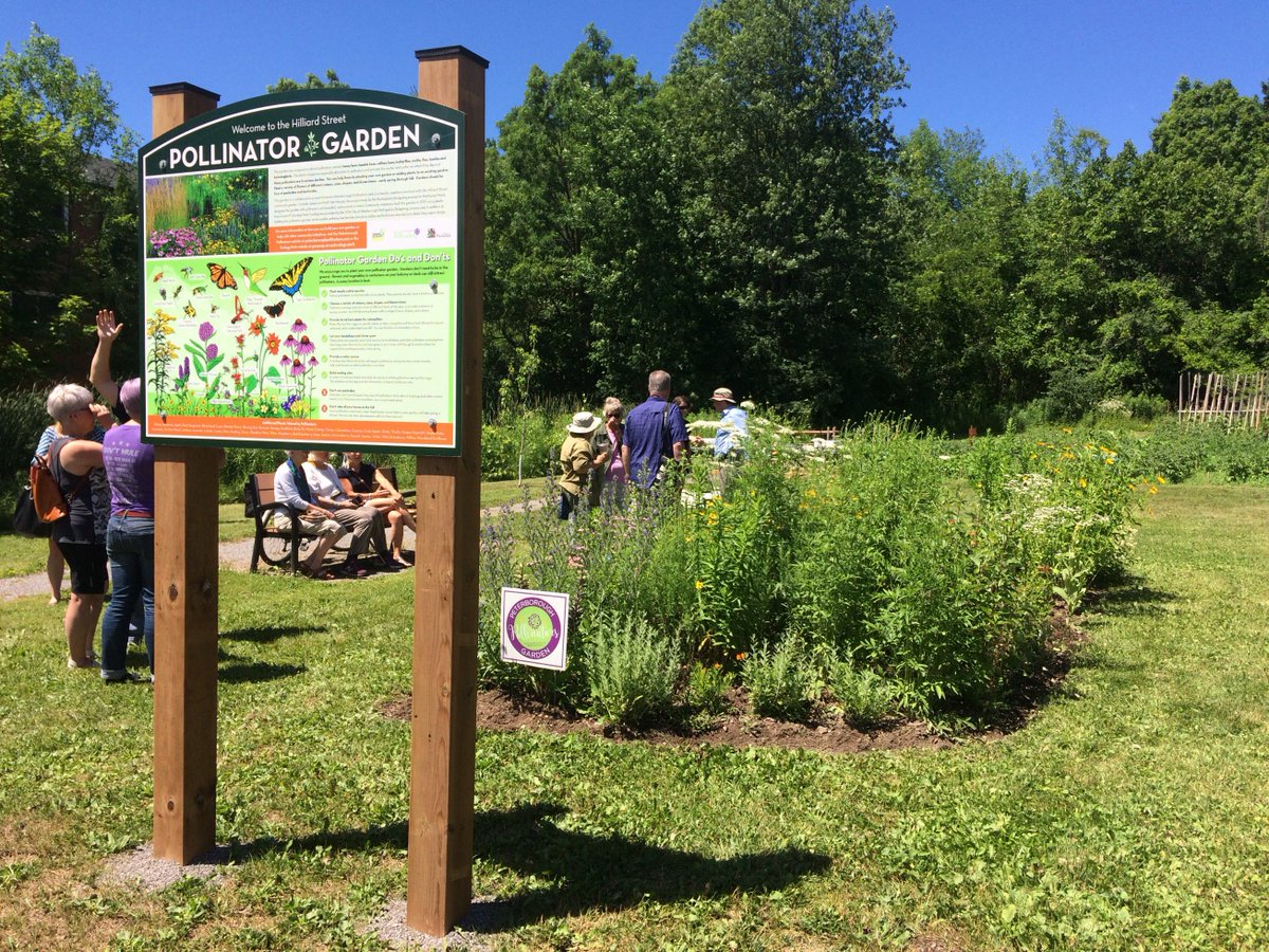 kimzippel's tweet photo. What's the buzz in #Ptbo?  @PtboPollinators celebrated the finish of a 5 ward pollinator garden project w/ beautiful educational signs. Partner @CityPtbo thanked profusely! @PtboExaminer @cliffskarstedt got busy w/ camera &amp; the hoe!  @jessethomas21 4 @chextv captured the moment. https://t.co/FrvTipylxf