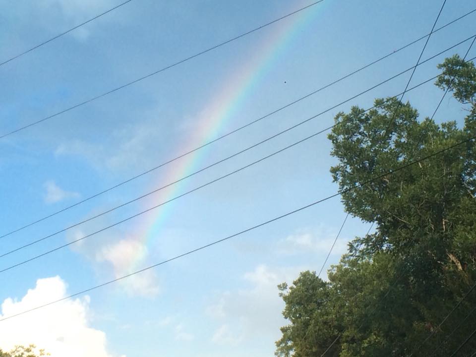 NBC6Weather's tweet image. Judy Jordan shot this #rainbow #localview near Keithville, LA.  Sharing this on NBC6Weather this evening at 6.