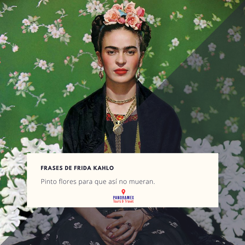 gdltours's tweet photo. Hoy se celebran 111 años del natalicio de #FridaKahlo por lo que seleccionamos varias frases de esta famosa pintora para conmemorar a la representativa artista mexicana. 😃💐🏵️

https://t.co/YrNAv3ptCo https://t.co/RP2o8VEAhd