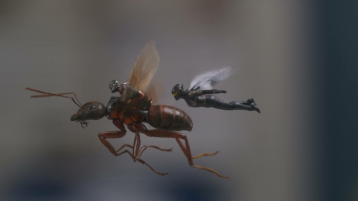 phillyfilmsoc's tweet photo. Now Showing at @ThePrincePFS on the biggest screen in #CenterCity - #AntManAndTheWasp

As he struggles to rebalance his home life with his responsibilities as a Super Hero, Scott Lang finds himself suiting up as #AntMan once again.

Tickets &amp; Showtimes: https://t.co/kSbi3VFp7f https://t.co/wkJW3iKf6F