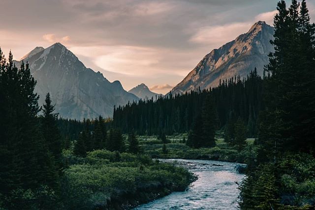 Root Words: "Eit"
.
Gaelic noun, archaic 🥀
.
refers to the practice of placing quartz stones in streams so that they sparkle in moonlight and thereby attract salmon in the late summer and autumn✨ ift.tt/2NxDxbE