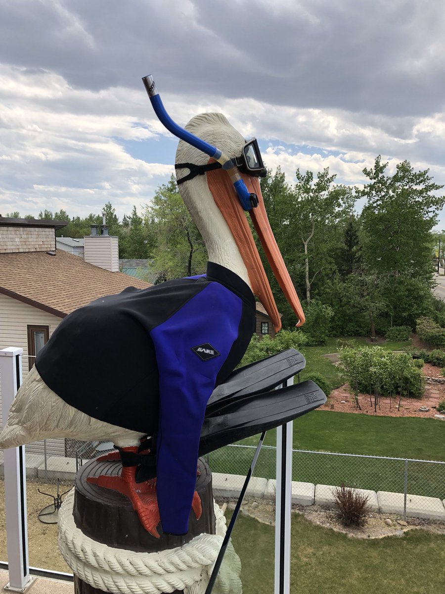 ivonnaholiday's tweet photo. Sylvan Lake Pelican Bill’s latest adventures and fashion trends. #sylvanlake #pelicanbill #townof sylvanlake #sylvanlakeattractions #funatthelake #summerfun #centralalbertalakefun #fashiontrends https://t.co/5PoNlZP0nk