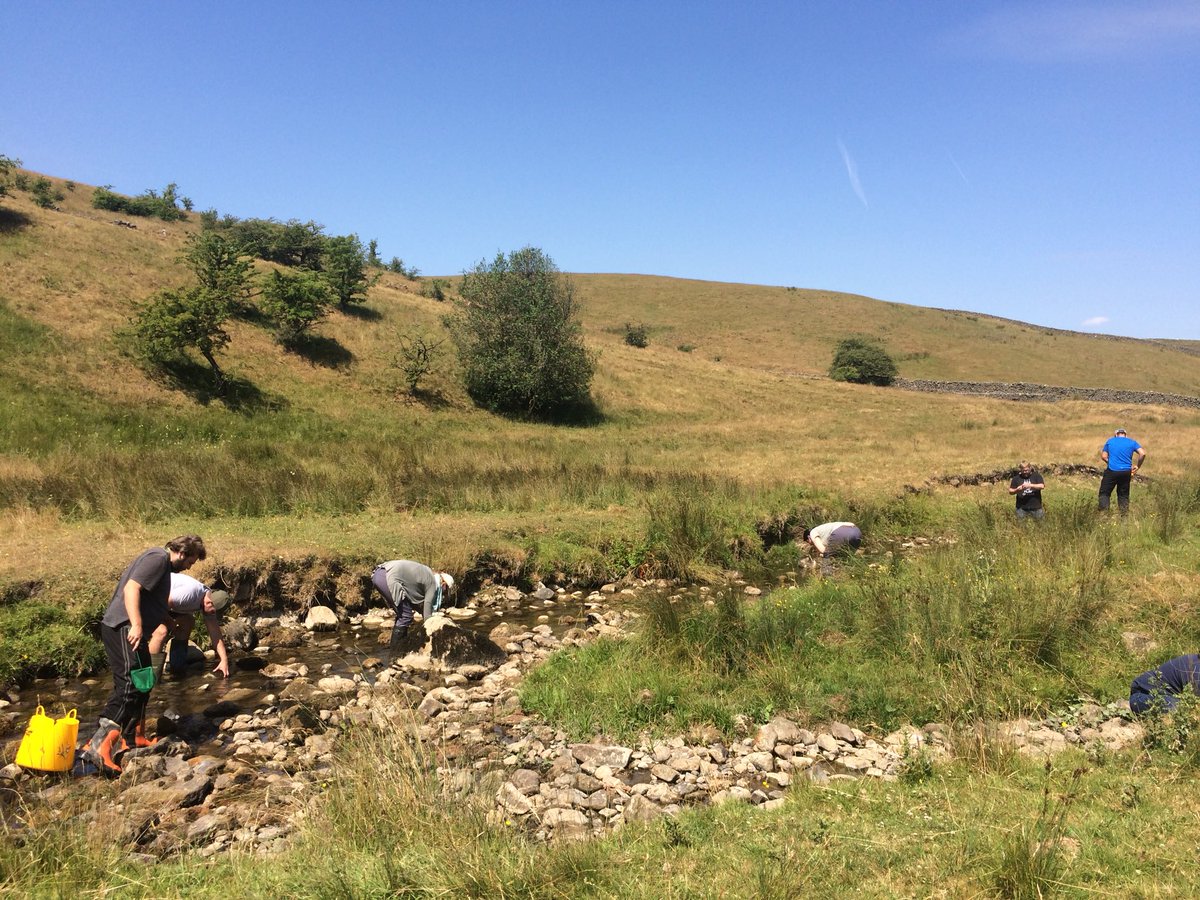 Eleri_Pritchard's tweet photo. Great couple of days assisting on the โworking with crayfishโ @CIEEMnet course. Thanks to @PBA_Ecology for inviting me and @Dan_Chadwick1 to disseminate some of our research! A rare blue morph #whiteclawed #crayfish and #invasive #signal #crayfish. https://t.co/JIcrN2T3L5