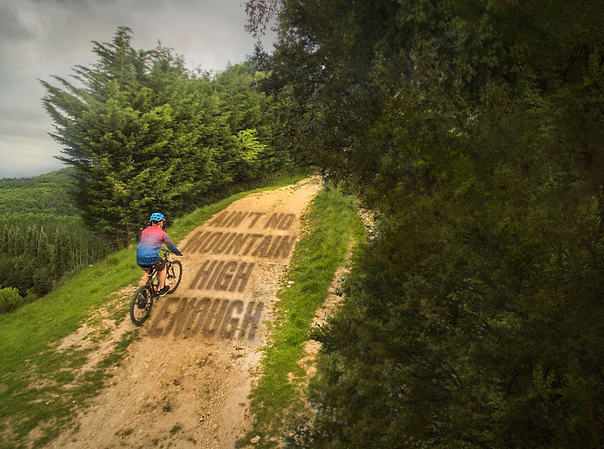 downhill mountain bike halfords