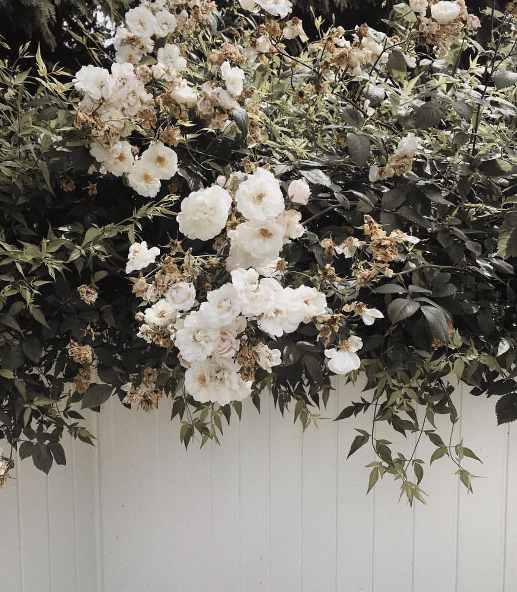 Stop and smell the roses💐 #YHFinspo