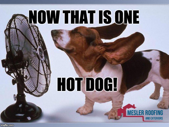 Heating up out there. #heatwave